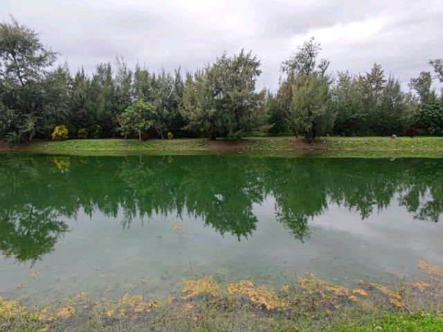 #臺東森林公園-臺東縣臺東市