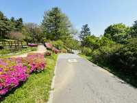 Hike Through The Magic of Hanyangdoseong