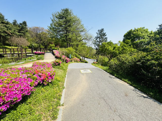 Hike Through The Magic of Hanyangdoseong