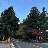 Nikko เมืองที่มองวิวก็ชื่นใจ🍁