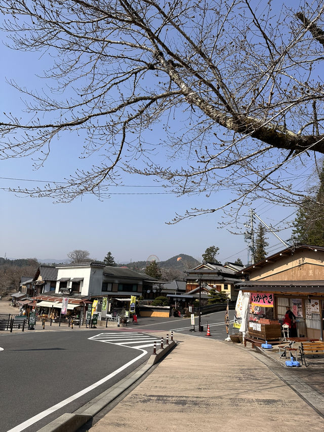 🇯🇵 名古屋近郊一日遊看湖水山景⛰️🩵