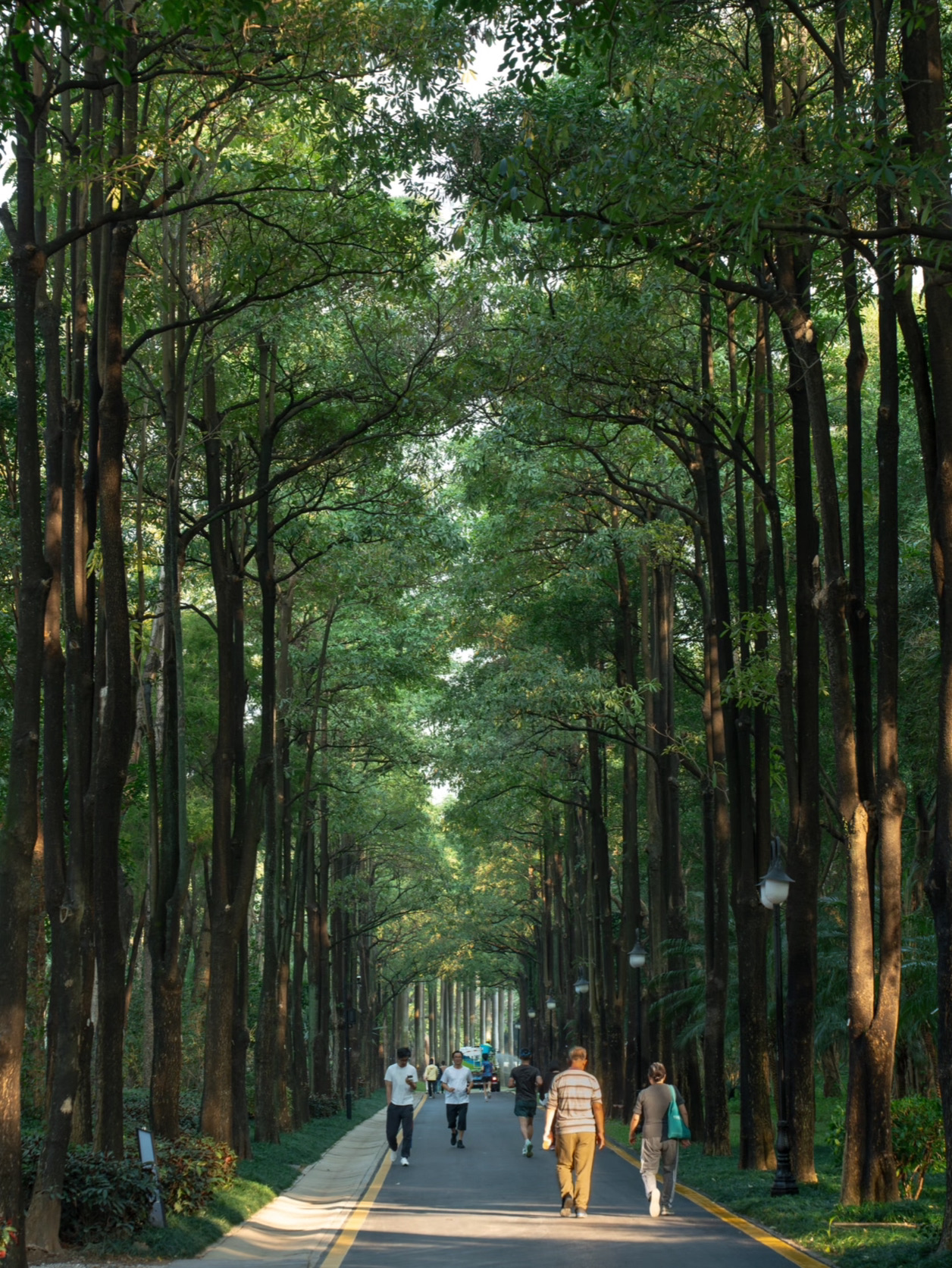 📍Address: Dashanbei Park, Shenzhen

💞Recommended reasons:
Shenzhen Dashanpi Park is an ideal place that combines natural landscape with sports facilities, providing citizens with a space for relaxation and entertainment. The park has beautiful scenery and a winding river, making it suitable for walking, running and cycling. It is ideal for family and friends gatherings and fitness activities.

🗓️Itinerary:
You can start in the morning by going for a morning run or walk in Dashanbei Park and enjoying the fresh air and beautiful river views. Next, choose to do strength training in the fitness equipment area in the park to improve your physical fitness. At noon, find a comfortable spot to enjoy a picnic and share a pleasant lunch with family or friends. In the afternoon, you can rent a bicycle and ride in the park to enjoy the surrounding natural scenery. At the end of the trip, you can take a walk along the river to relax.

🏖️Environment/Facilities:
The park has spacious walking trails, fitness equipment, children's play areas and bicycle paths, suitable for visitors of all ages. The environment is lush and green, and the rest area along the river bank provides a comfortable place for tourists to relax and fully experience the power of nature.
#morning run #family activity #outdoor fitness #picnic #biking #green environment #relaxation #sports facilities #natural scenery
#ShenzhenItinerary