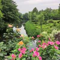 ～列聖生態休閒公園～游走於繁花之間～