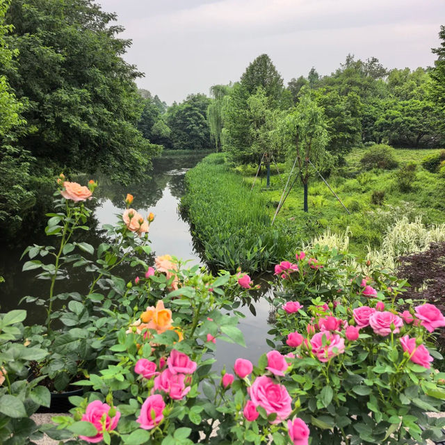 ～列聖生態休閒公園～游走於繁花之間～