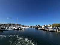 Explore the beauty of Hobart Tasmania 