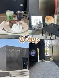มัดรวมคาเฟ่ ระยองฮิ