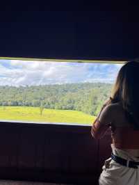 Khao Yai National Park