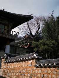 釜山梵魚寺｜繁華都市中的幽靜💫