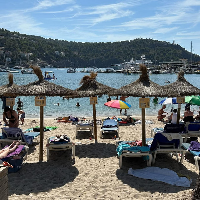 🌞 Weekend Escape to Sóller, Spain: Tram Rides, Citrus Groves & Tramuntana Magic