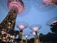 Gardens by the Bay: A Futuristic Oasis in the Heart of Singapore