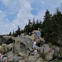 Clingmans Dome – Great Smoky Mountains, TN