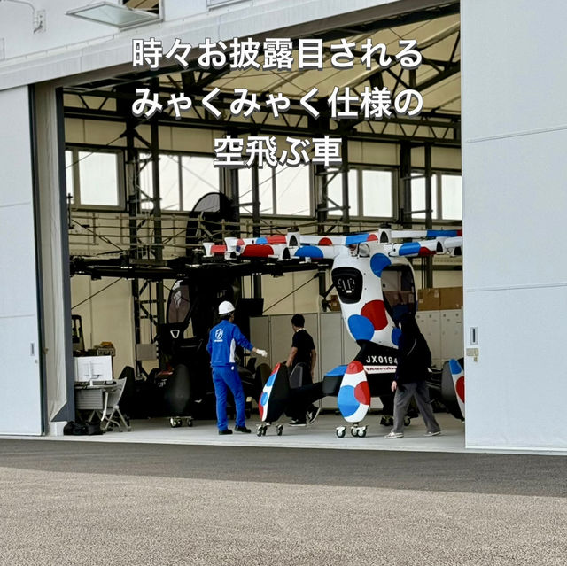 【大阪万博】万博の交通✨楽々アクセスや万博内移動✨