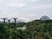 #濱海灣花園Gardens By The Bay-新加坡