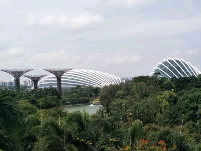 #濱海灣花園Gardens By The Bay-新加坡