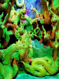 ชมถ้ำพญานาคเมืองบาดาลที่ใหญ่ที่สุดในไทย