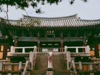 Bulguksa Temple – A Timeless Journey into Korea’s Spiritual Beauty