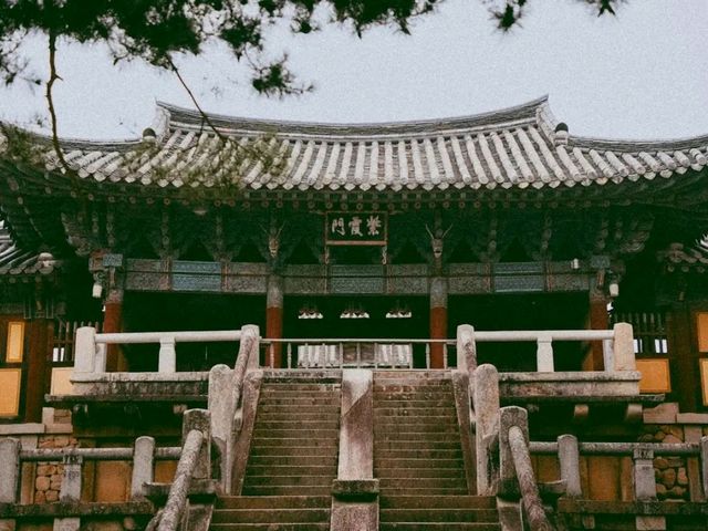 Bulguksa Temple – A Timeless Journey into Korea’s Spiritual Beauty