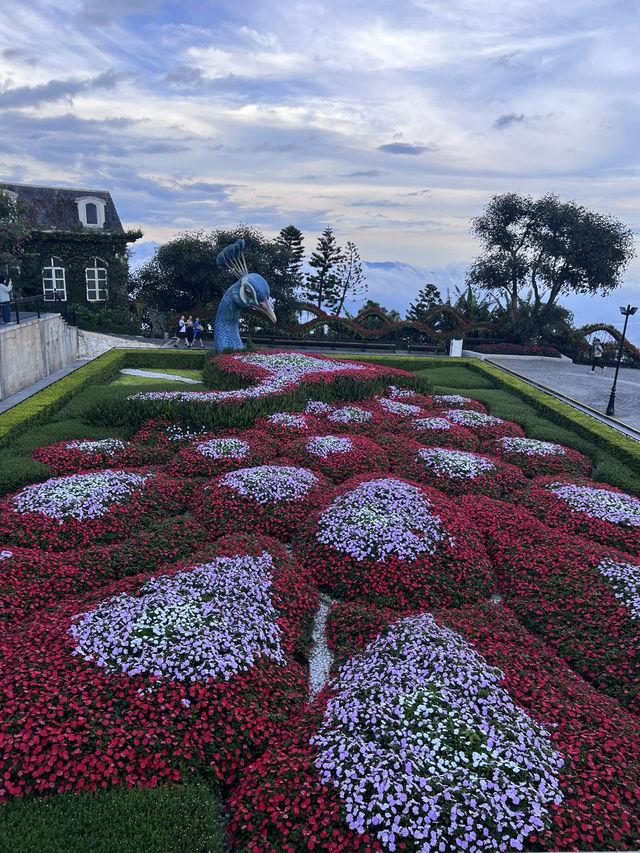 1 Week in Da Nang, Vietnam: Featuring Ba Na Hills & Banh Xeo Ba Duong