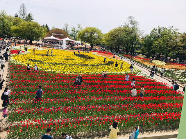 Tonami Tulip Park