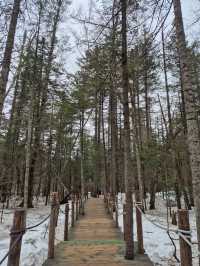 🏔자유여행으로 백두산 북파 관광하기🏔