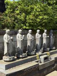 A Peaceful Spring Day at Gokokuji Temple