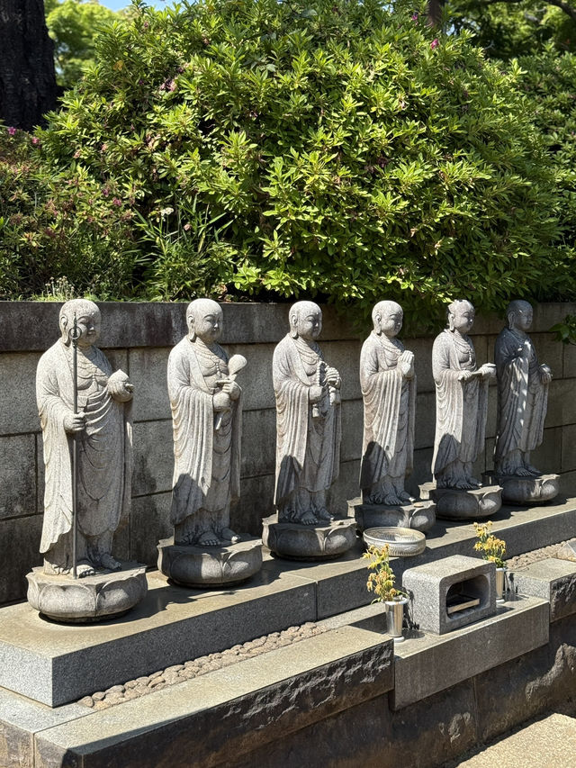 A Peaceful Spring Day at Gokokuji Temple