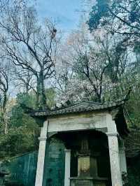 Peaceful Spot with Serious History