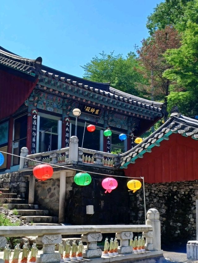 고요한 가족 나들이 사찰, 일붕사