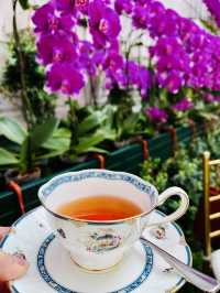 Afternoon Tea in Bloom: The Orchid Conservatory at The Majestic Hotel Kuala Lumpur 