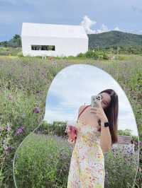 🌿 สัมผัสธรรมชาติที่อุทยานแห่งชาติเขาใหญ่