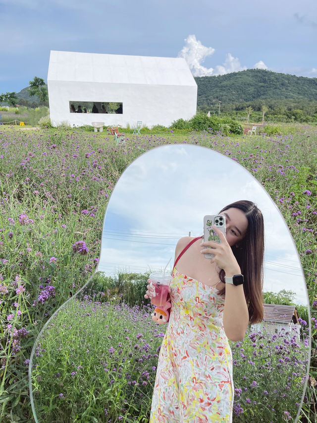 🌿 สัมผัสธรรมชาติที่อุทยานแห่งชาติเขาใหญ่