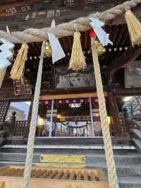 枝垂れ桜の美しい神社🌸
