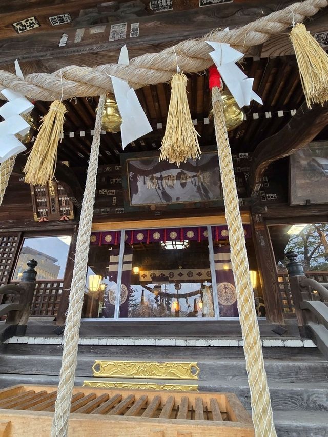 枝垂れ桜の美しい神社🌸