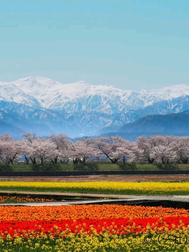 Time-Traveler’s Haven: Kanazawa’s Quiet Elegance