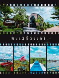 เที่ยวทะเลบัวแดง
