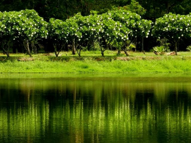 Sukhothai Serenity – Where Thailand’s Soul Was Born