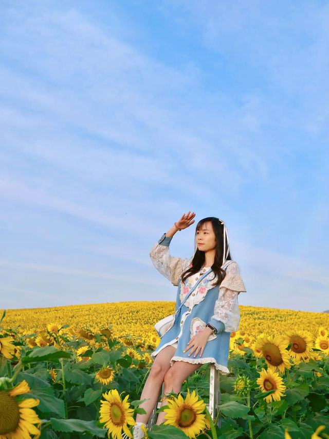 ทุ่งดอกทานตะวัน @ไร่มณีศร 🌻
