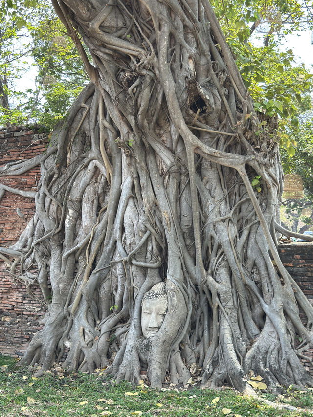 7 Days in Bangkok