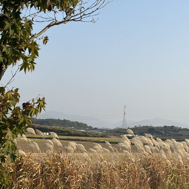 나주 여행지는 여기지!