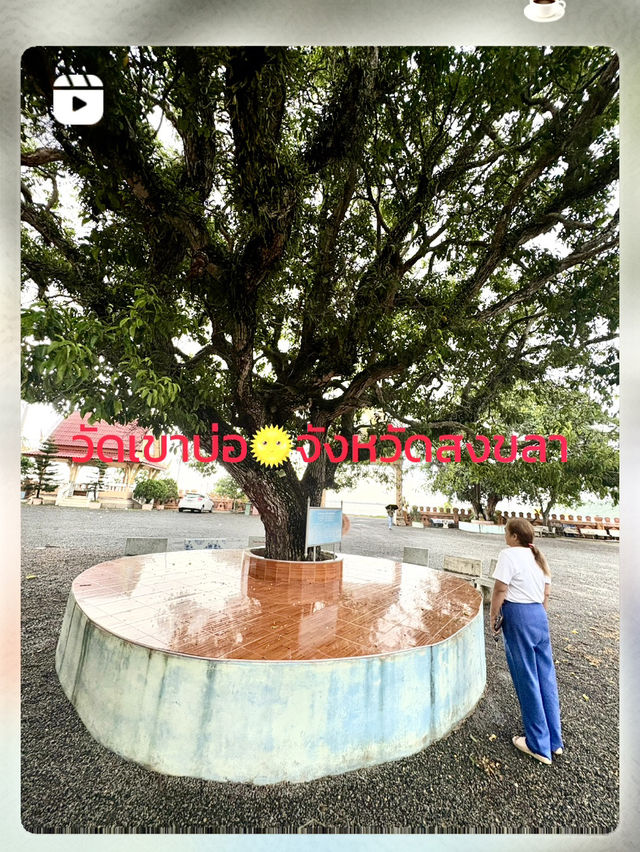 เสน่ห์บนเกาะยอ ณ วัดเขาบ่อ สงขลา