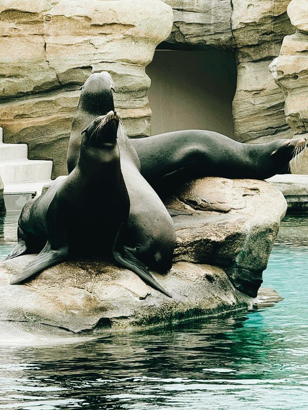 大阪交通攻略｜天王寺動物園