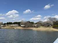 🌸【春日花季攻略】國營常陸海濱公園｜錯過粉蝶花也不怕，鬱金香、櫻花、童話風車一次收服你的鏡頭！