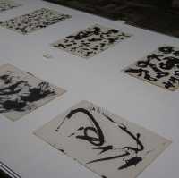 Calligraphic Abstraction
