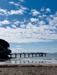 奧克蘭 Murrays Bay｜Churchill Reserve 海邊步道輕散策