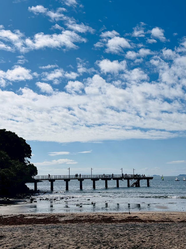 奧克蘭 Murrays Bay｜Churchill Reserve 海邊步道輕散策