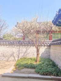 💕청덕궁 가족과 함께 거닐기 좋은 곳 🌲