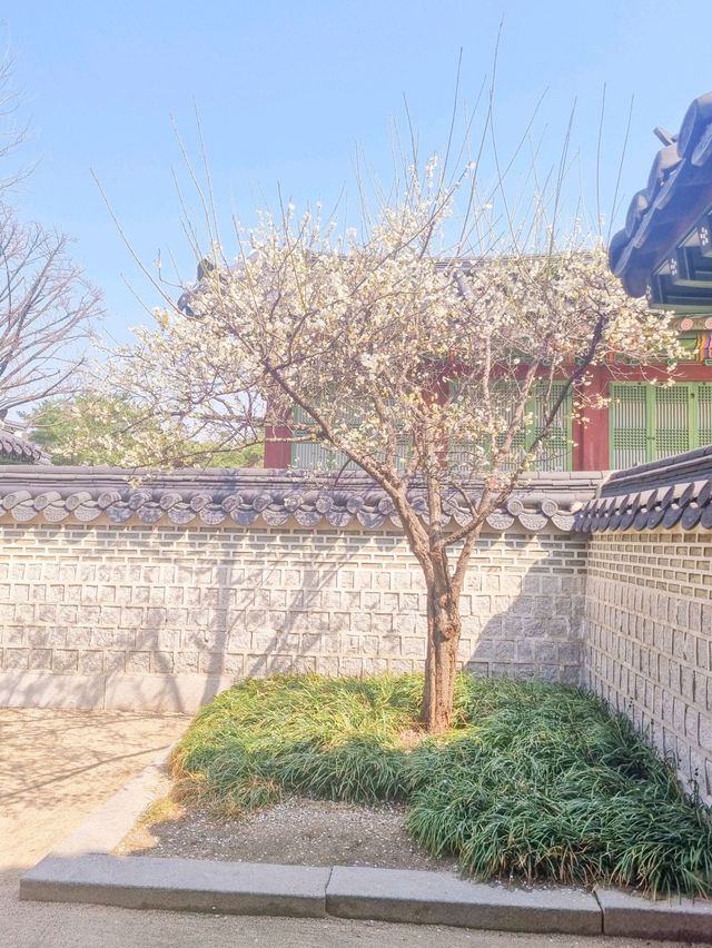 💕청덕궁 가족과 함께 거닐기 좋은 곳 🌲