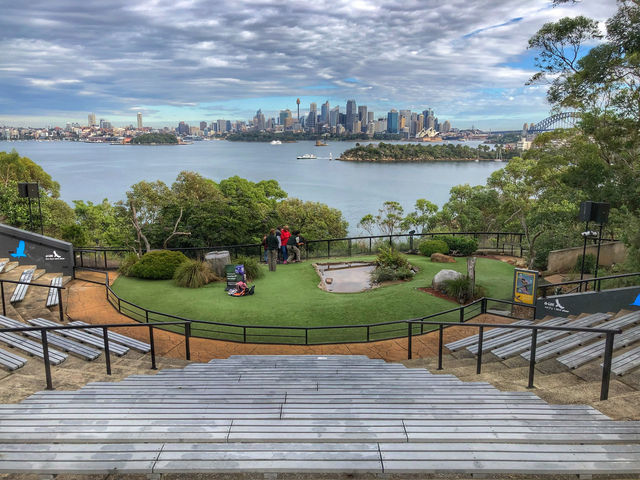 A Wild Day Out with the Kids: Taronga Zoo’s Best Views and Creatures