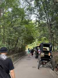 Kyoto itinerary - A Timeless Journey.