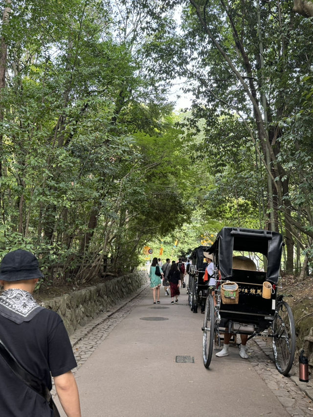 Kyoto itinerary - A Timeless Journey.
